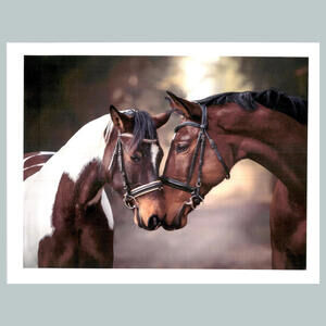 #0234  Horses Missed You Long Time 4x6 Version Glossy Photo Fast Ship